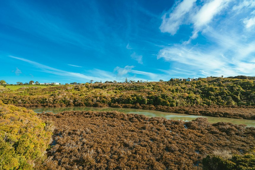 dialling New Zealand from Australia