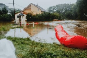 top basement waterproofing solutions